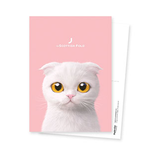 J the Cat Postcard