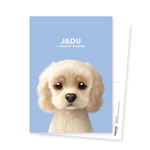 Jadu the Cocker Spaniel Postcard