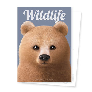 Brownie the Bear Magazine Postcard