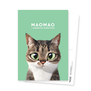 Maomao Postcard