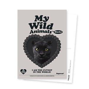 Blacky the Black Panther MyHeart Postcard