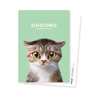 Ohsiong the Stray Cat Postcard