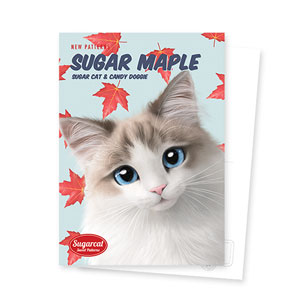 Autumn the Ragdoll’s Sugar Maple New Patterns Postcard