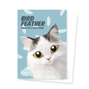 Charlie’s Bird Feather New Patterns Postcard