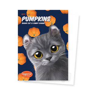 Seoktan’s Pumpkins New Patterns Postcard
