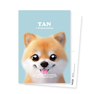 Tan the Pomeranian Retro Postcard