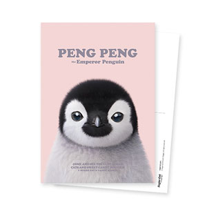 Peng Peng the Baby Penguin Retro Postcard