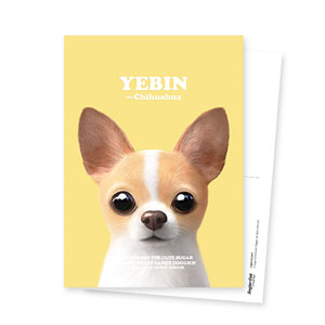 Yebin the Chihuahua Retro Postcard