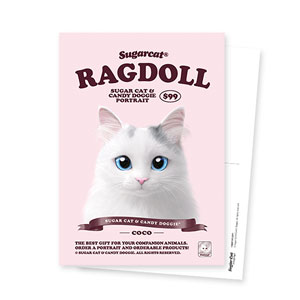 Coco the Ragdoll New Retro Postcard