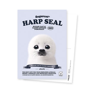 Juju the Harp Seal New Retro Postcard