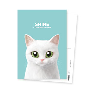 Shine Postcard