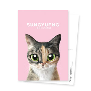 SungYueng the cat Postcard