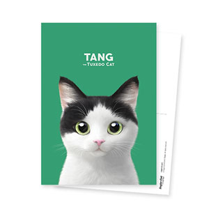 Tang Postcard