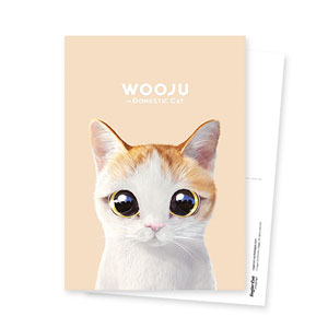 Wooju Postcard