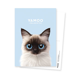 Yamoo Postcard