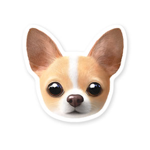 Yebin the Chihuahua Face Deco Sticker