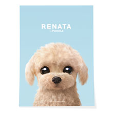 Renata the Poodle Art Poster