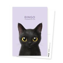 Bingo Postcard