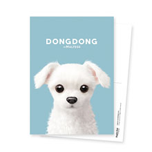 DongDong Postcard