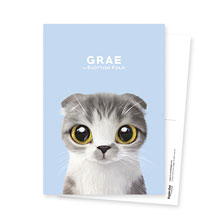 Grae Postcard