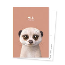 Mia the Meerkat Postcard