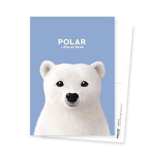 북극곰 폴라 엽서