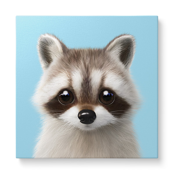 Nugulman the Raccoon Art Canvas