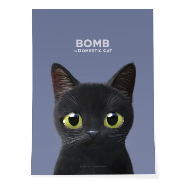 Bomb Art Poster
