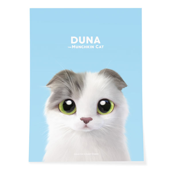 Duna Art Poster