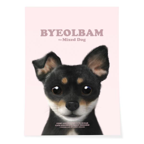 Byeolbam Retro Art Poster