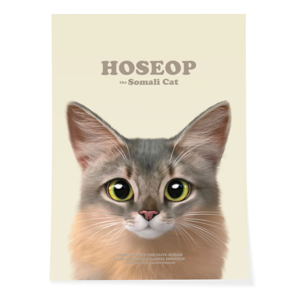 Hoseop Retro Art Poster