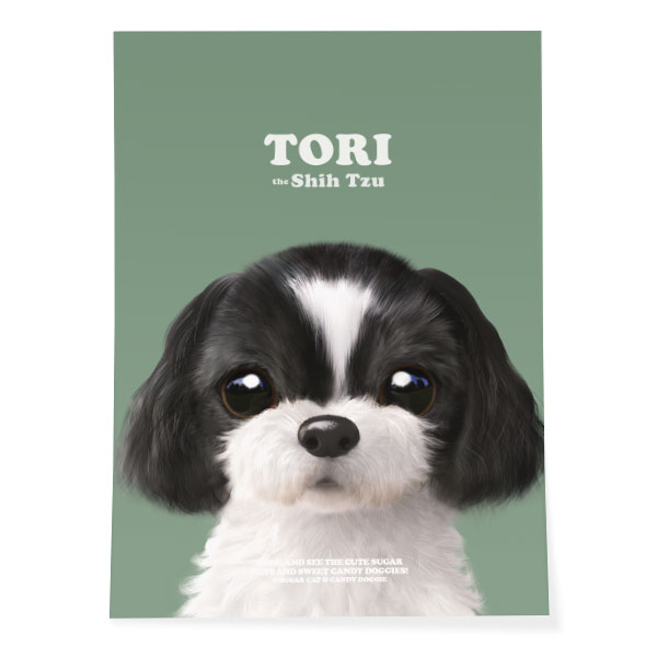 Tori Retro Art Poster