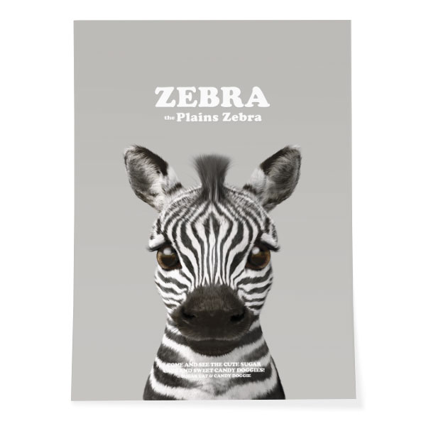 Zebra the Plains Zebra Retro Art Poster