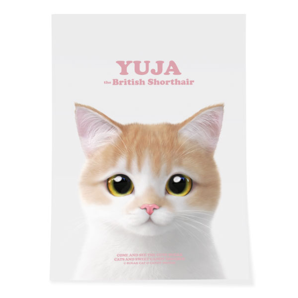 Yuja the British Shorthair Retro Art Poster