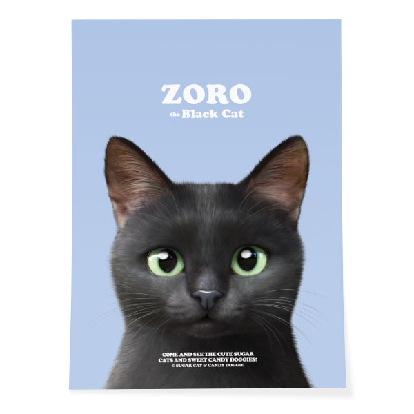 Zoro the Black Cat Retro Art Poster