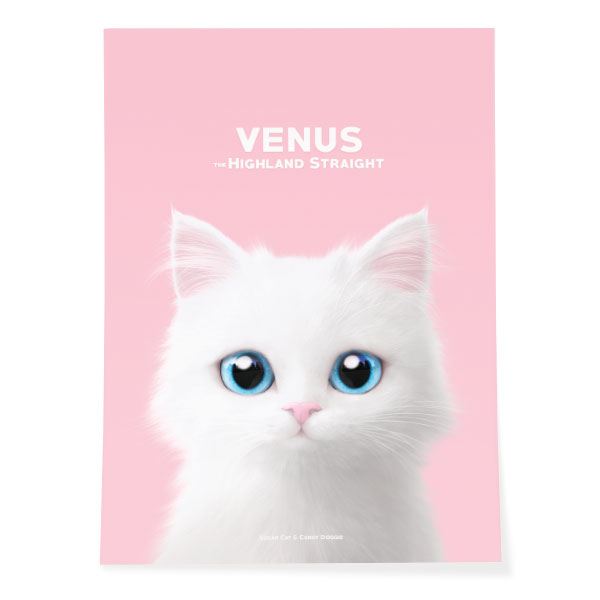 Venus Art Poster