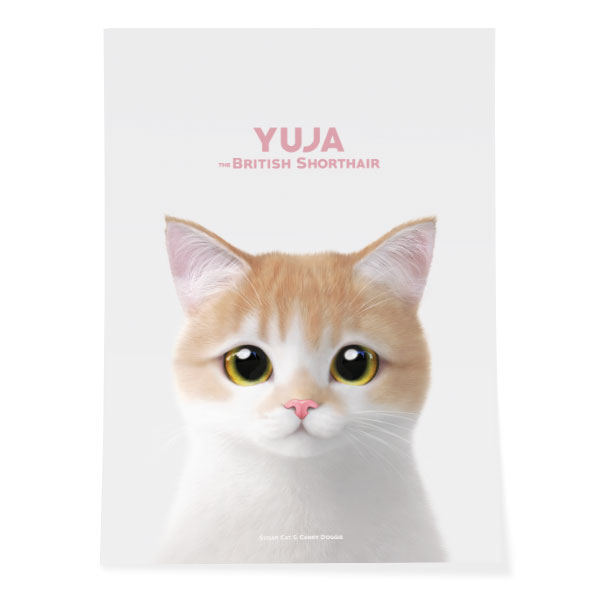 Yuja the British Shorthair Art Poster