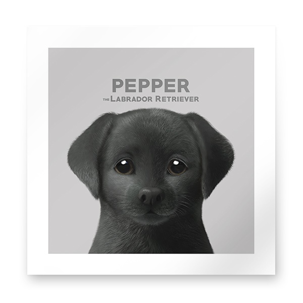 Pepper the Labrador Retriever Art Print