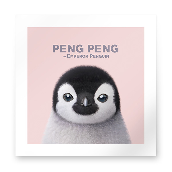 Peng Peng the Baby Penguin Art Print