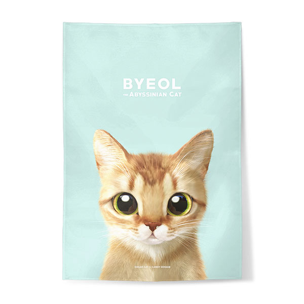 Byeol Fabric Poster