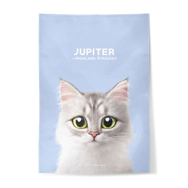 Jupiter Fabric Poster