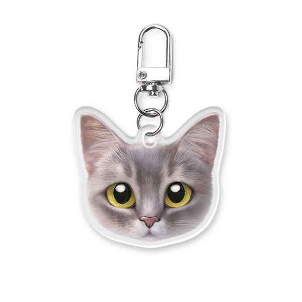 Leo the Abyssinian Blue Cat Face Acrylic Keyring