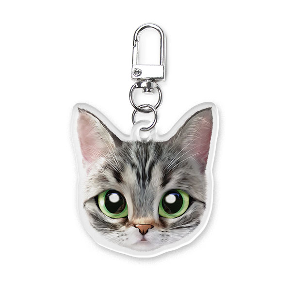 Momo the American shorthair cat Face Acrylic Keyring