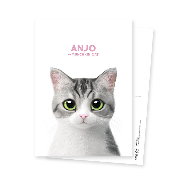 Anjo Postcard