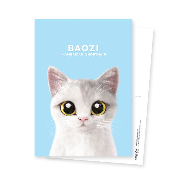 Baozi Postcard
