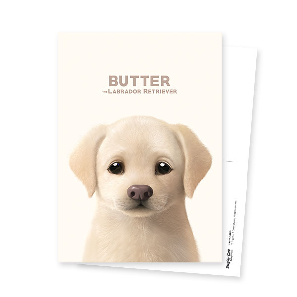 Butter the Labrador Retriever Postcard