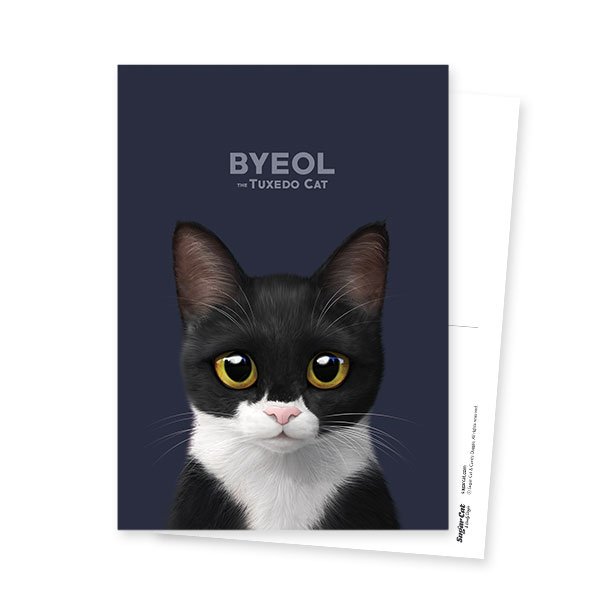 Byeol the Tuxedo Cat Postcard