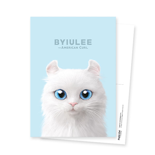 Byiulee the American Curl Postcard
