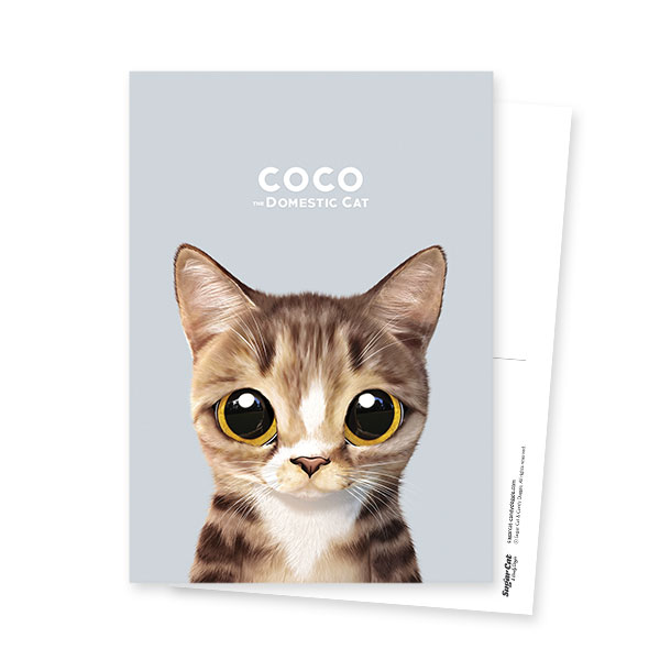 Coco Postcard