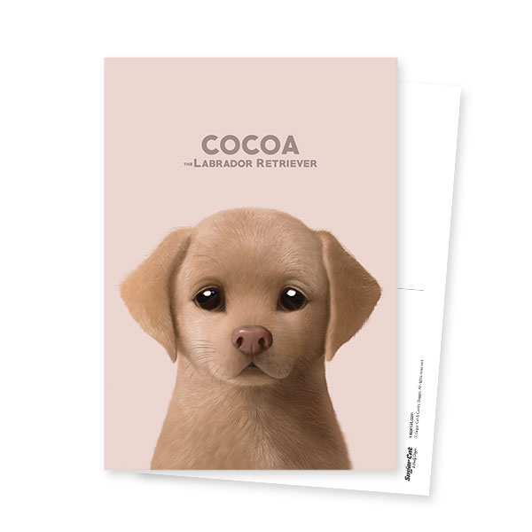 Cocoa the Labrador Retriever Postcard
